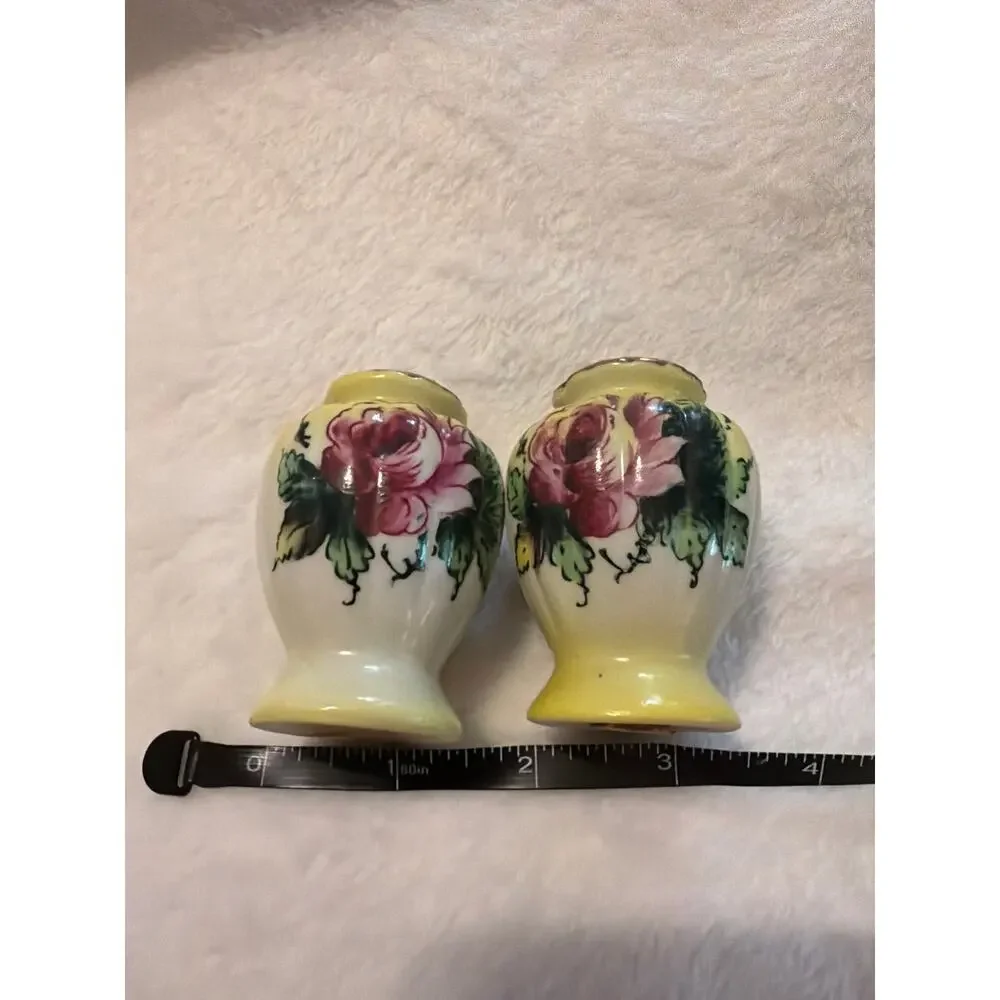 Vintage Hand Painted Rose Porcelain Salt & Pepper Shakers Pair Cork Stoppers